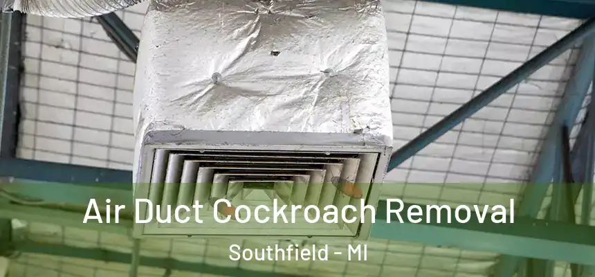 Air Duct Cockroach Removal Southfield - MI