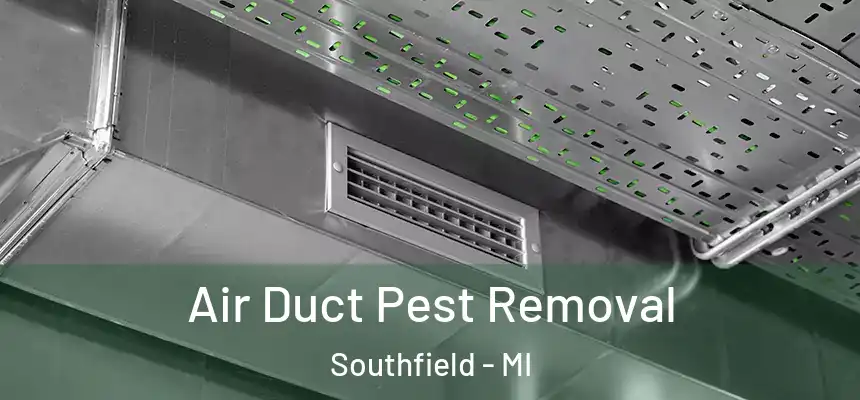 Air Duct Pest Removal Southfield - MI