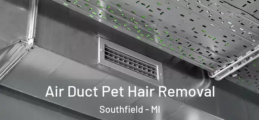 Air Duct Pet Hair Removal Southfield - MI