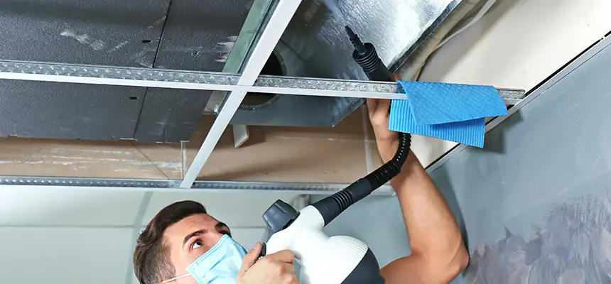 Our Air Duct Rodent Removal Services in Southfield, MI