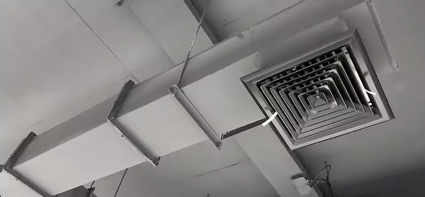 Our Rodent Droppings In Vents Services in Southfield, MI