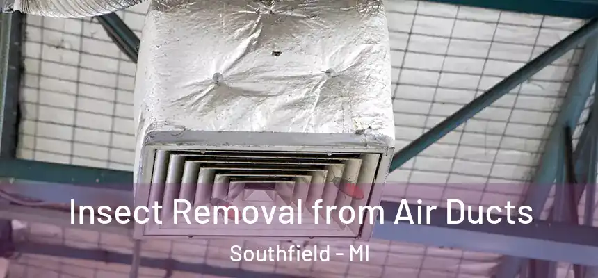 Insect Removal from Air Ducts Southfield - MI