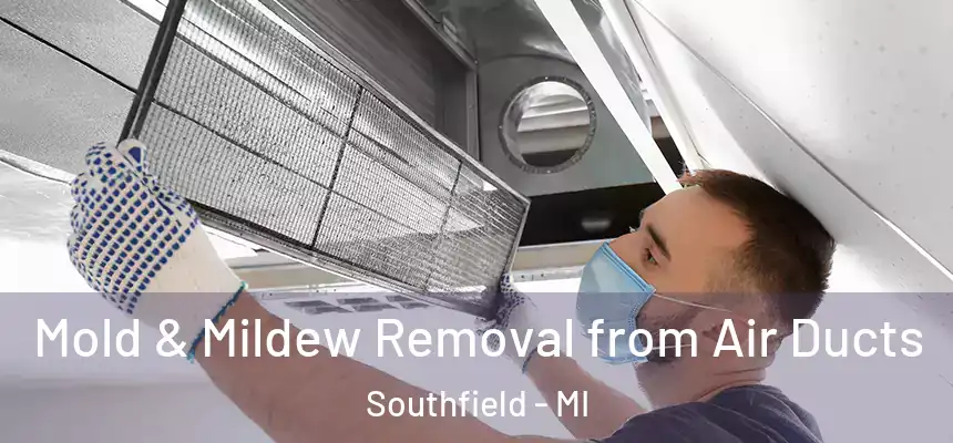 Mold & Mildew Removal from Air Ducts Southfield - MI