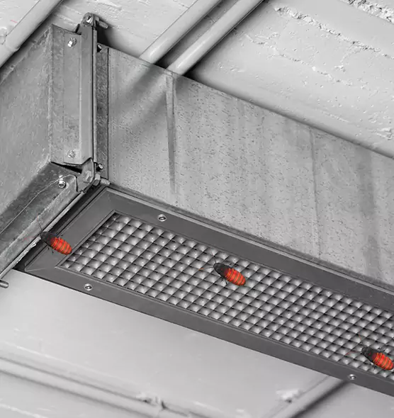 Affordable Insect Removal from Air Ducts in Southfield, MI